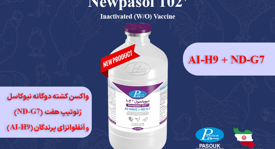 AzwCmsCore.Extend.Fields.StringField