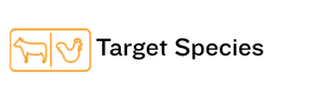 Pasouk Knowledge-Based Company Products
