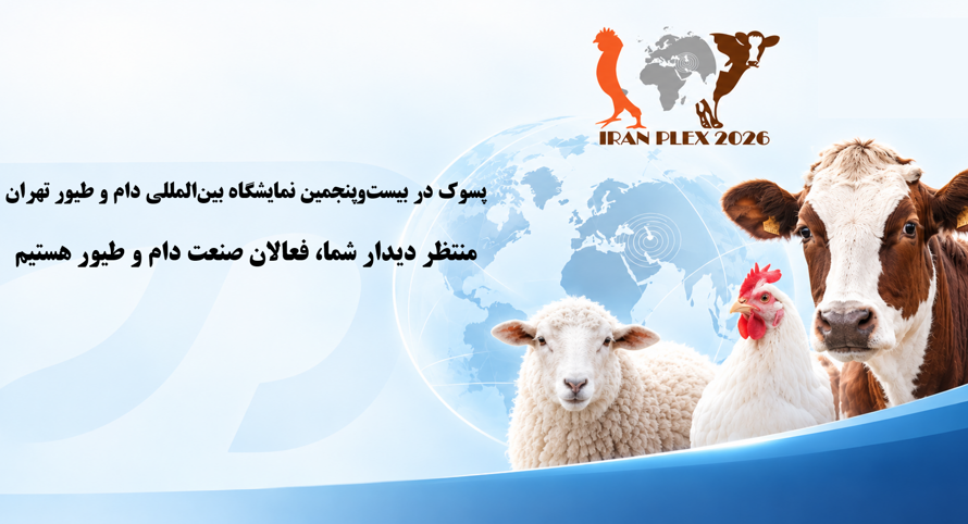 آخرین اخبار