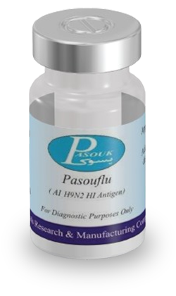 Pasouflu Pasoucastle