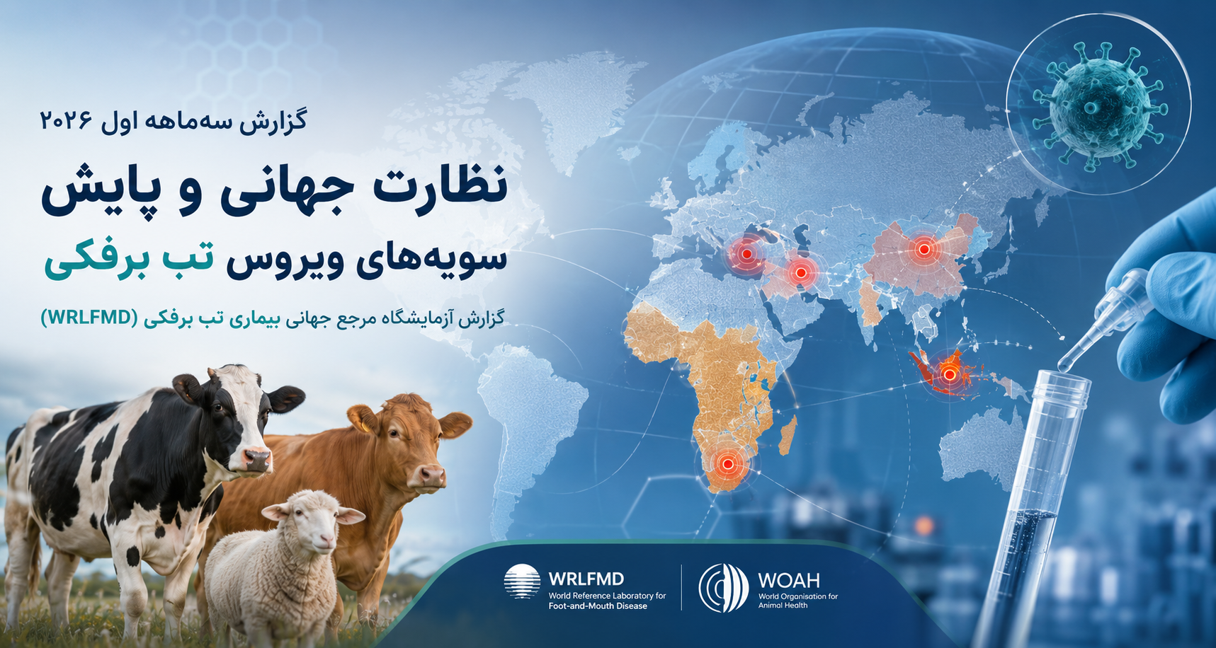 آخرین اخبار