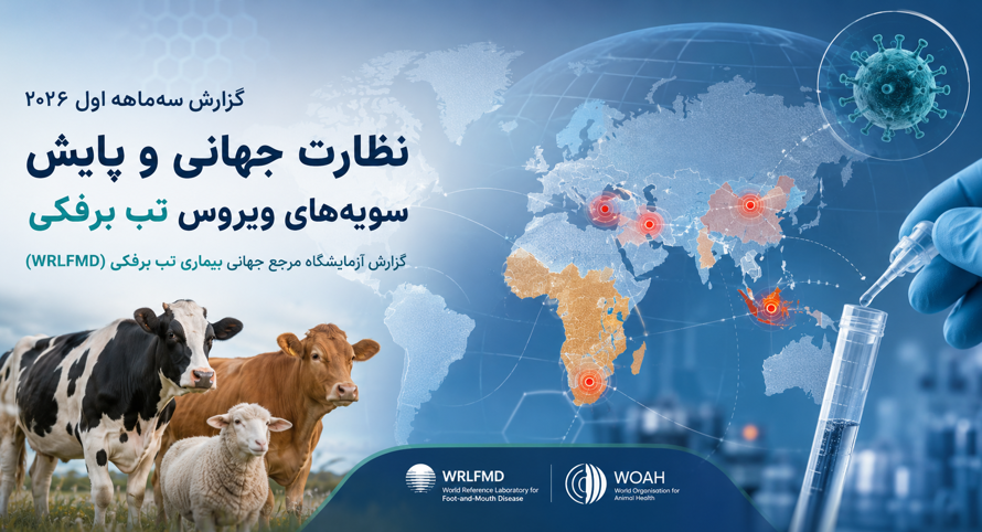 آخرین اخبار