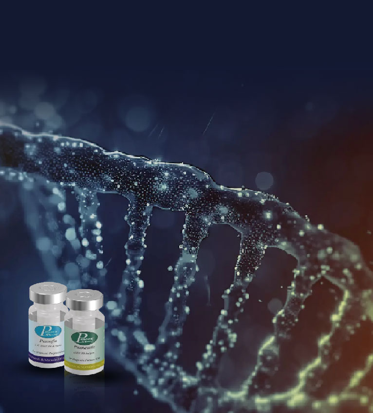 فروشگاه آنلاین