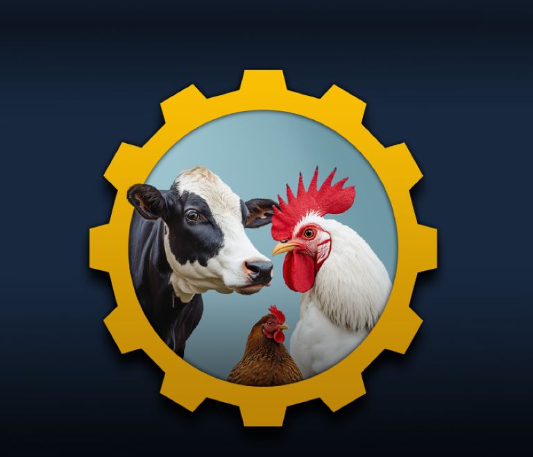  اسلایدر موبایل شرکت دانش بنیان پسوک